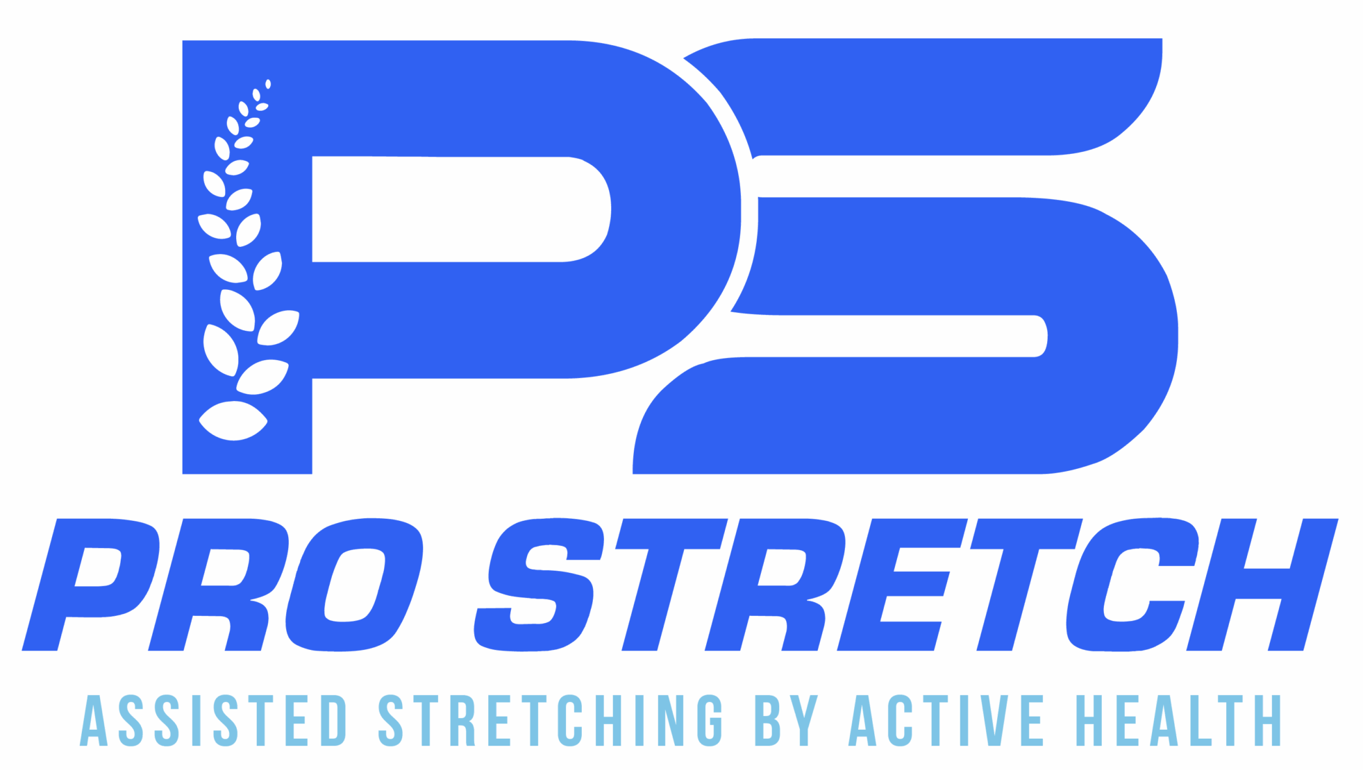 Active Pro Stretch